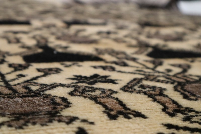 4'11 x 8'0 ft Baluch Maldari hand knotted vegetable dye oriental rug gallery