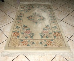 ANTQ Chinese 5×3 Hand Knotted Peking Aubusson Show Symbols Ivory/Beige Area Rug