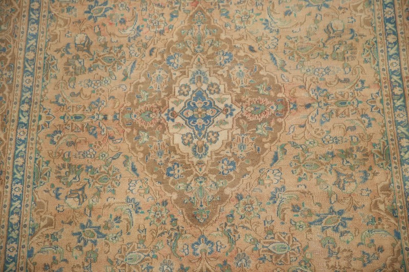 Traditional Vintage Floral Area Rug 6x9 Hand-knotted Wool Room Size Carpet gallery