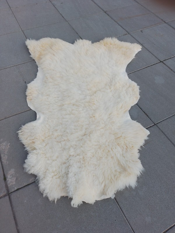 Neutral Long-Haired Cream / Off-White Tones Sheep Skin Carpet, Ultra Soft LYM gallery