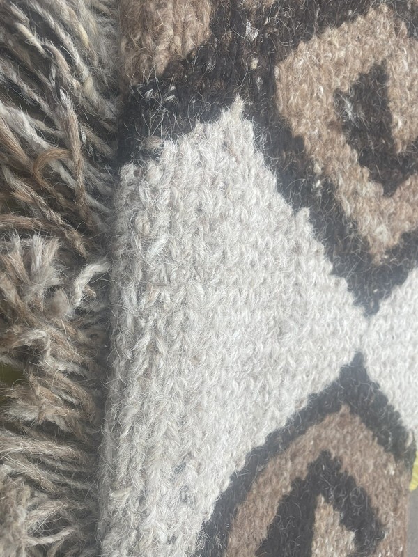 Vintage Big Ethiopian Hand Woven Lion of Judah Wall Hanging/Rug gallery