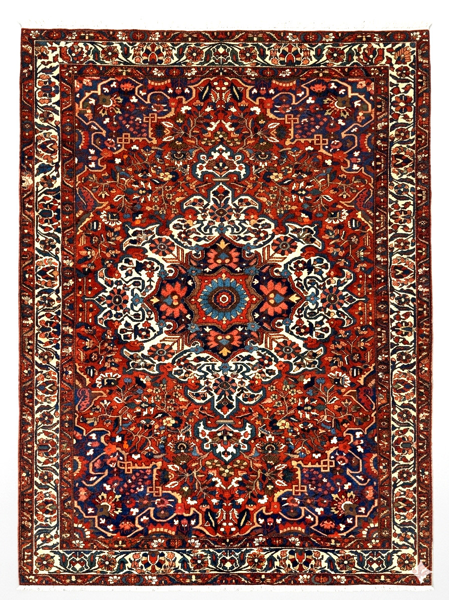11x16 Vintage Bakhtiari Oriental Handwoven Wool Rug Antique Knotted Tribal Rust gallery
