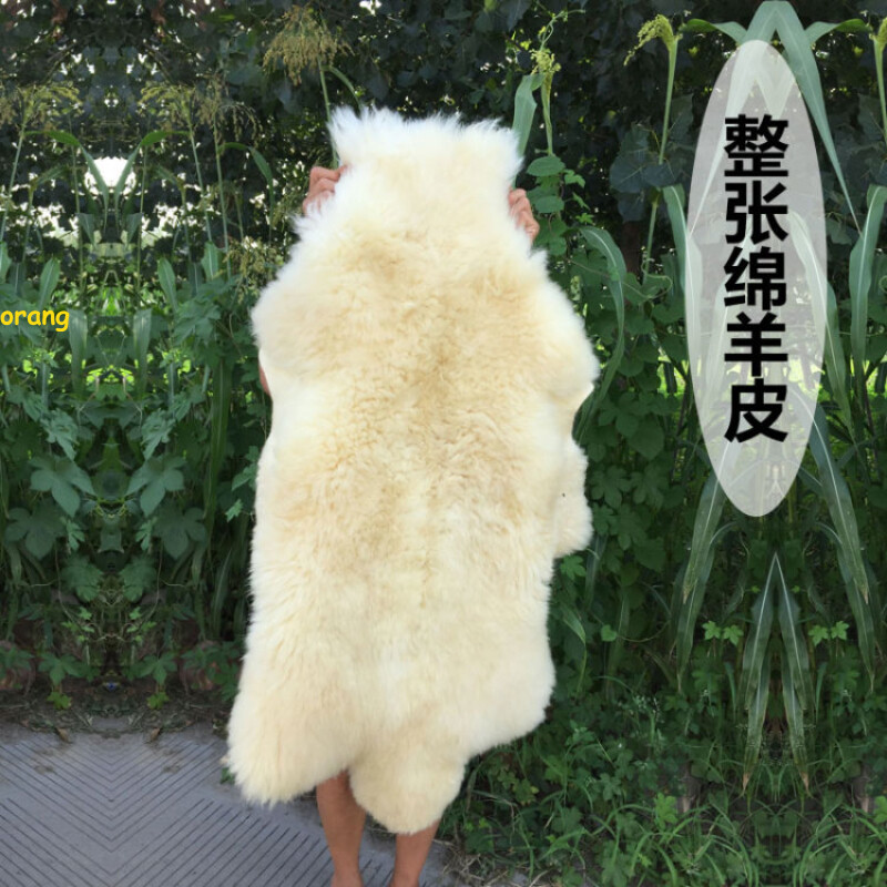 America The Entire Sheepskin Wool Chair Cushion Winter bedside bedroom Carpet