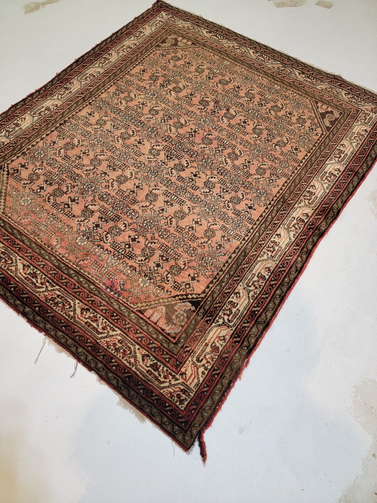 Antique Oriental Hand-Knotted Wool Area Rug Terracotta/Beige 5'1" x 6'4" gallery