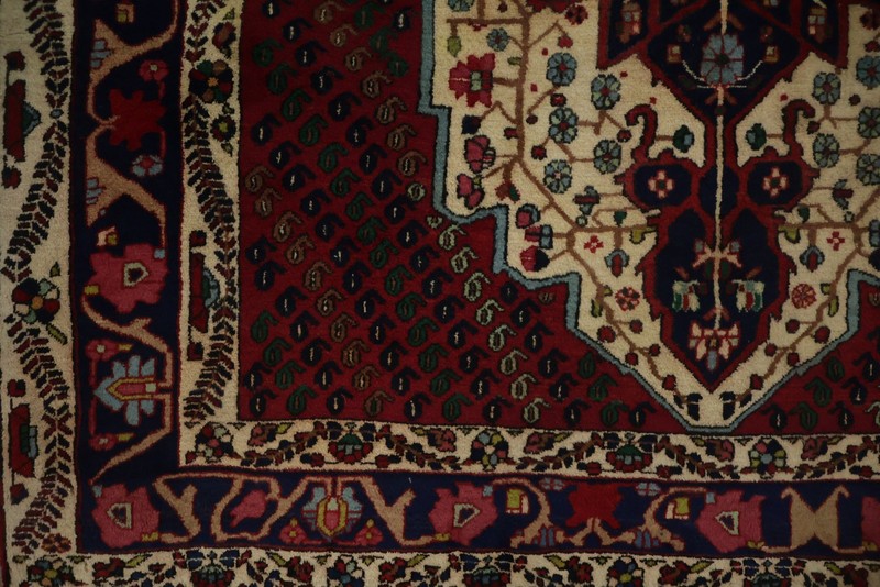 Classic Charm Vegetable Dye Rug 5x7 Hand-knotted Wool Geometric Traditional gallery