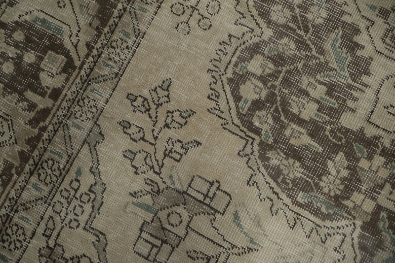 Elegant Ornate Classic Area Rug 7x10 for Traditional Living Spaces Muted Carpet gallery