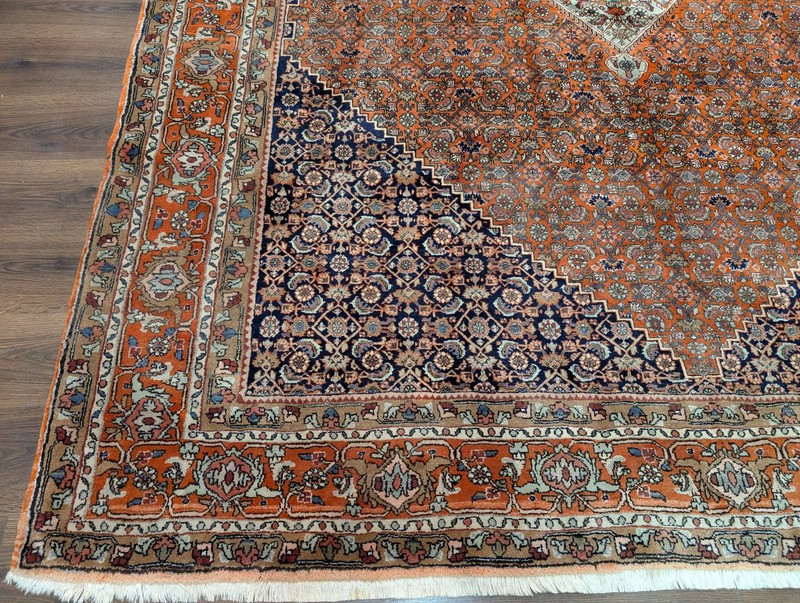Per'sian Bidjar Rug 8x12, Herati Mahi Pattern, Wool Hand Knotted gallery