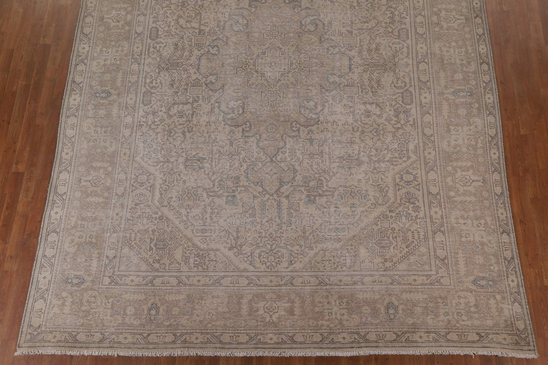 Distressed Traditional Area Rug 10x13 Ft Hand-Knotted Muted Beige Wool Carpet gallery