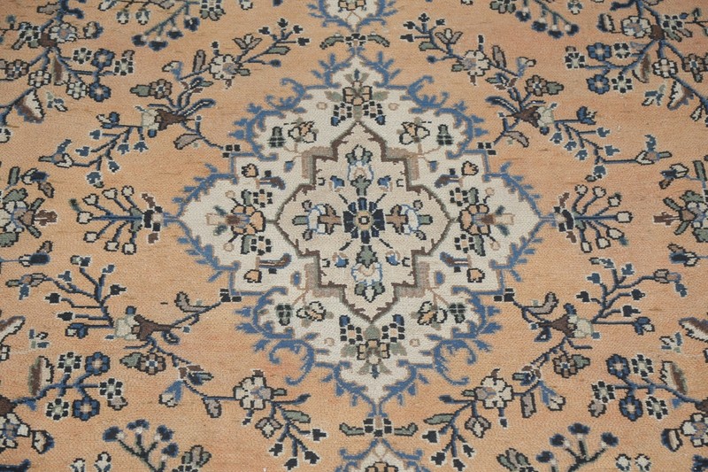 Vintage Muted Peach Hamedan Area Rug 9x12 ft Hand-knotted Low Pile Wool Carpet gallery