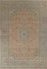 Orange Traditional Vintage Area Rug 10×13 Handmade Wool Floral for Living Room