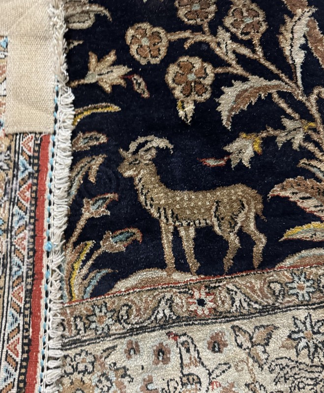 carpet gallery