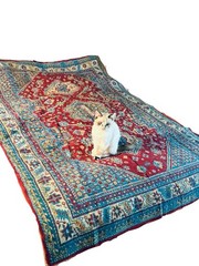 Antique 1930s Chenille Rug Medallion Velvet Carpet 4×6 Moody Maximalist