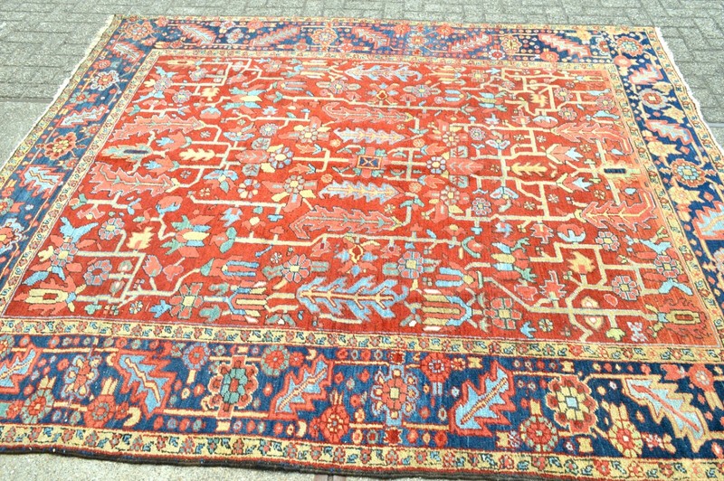 GORGEOUS ANTIQUE 1890'S ALL OVER RARE SIZED SERAPI HERIZ REGION RUG ***wws*** gallery