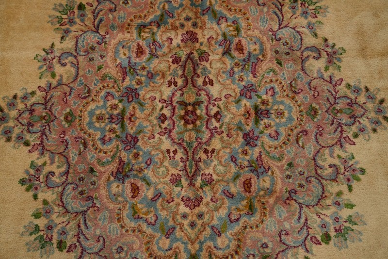 Vegetable Dye Victorian Style Large Rug 10x16 ft Hand-knotted Wool Living Room gallery