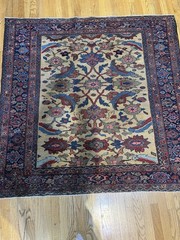 Museum Grade Antique Zigler Mahal (5′ X 5′) Exceptionally Rare Piece C.1900
