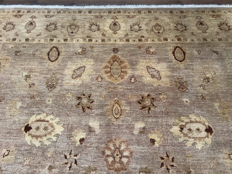 Pakistani Peshawar Rug 8x11 Indo Mahal Traditional Wool Oriental Carpet gallery