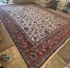 Beautiful Oriental Rug 9×12 Allover Repeated Motif Red Blue Cream Hand Knotted