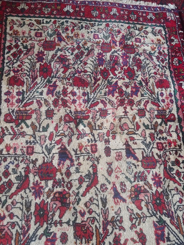 Hand Knotted Vintage Afghanistan Balouch Birds & Floral Wool Area Rug 52"x 49" gallery