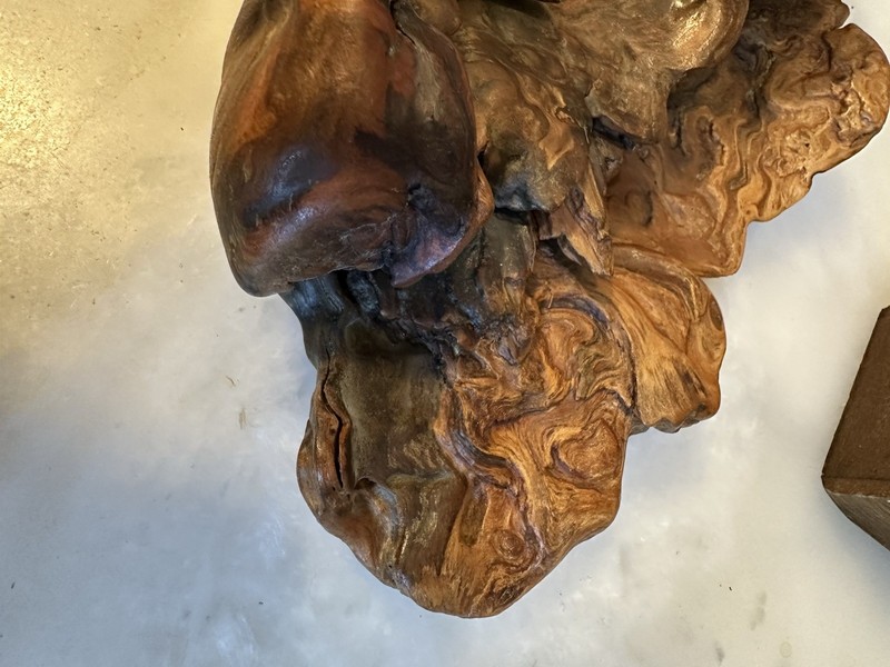 Beautiful Vintage Natural Burl Wood Sculpture 9"x5.5"x2" gallery