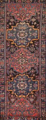 Vegetable Dye Bakhtiari Runner Semi-Antique Rug 3×10 Traditional Hand-made Rug