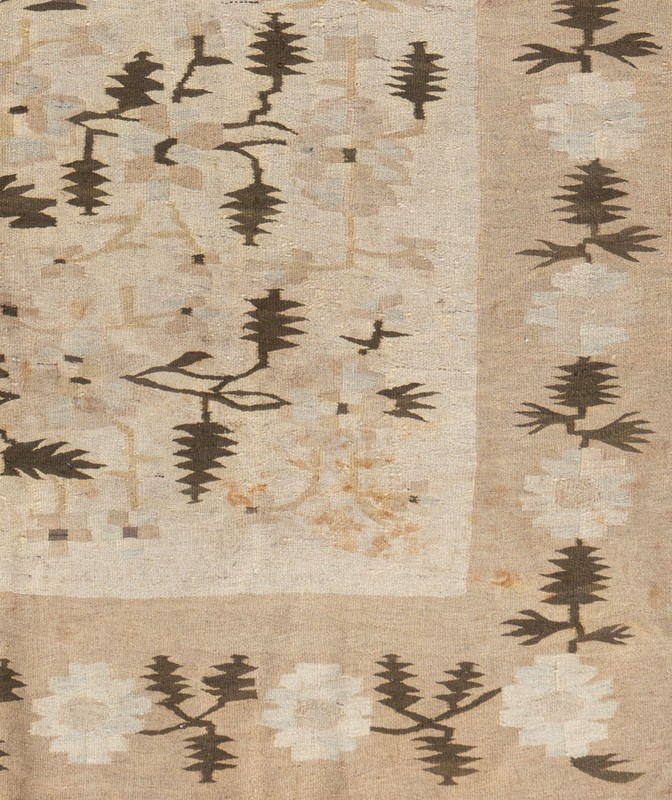 Antique Circa 1920 Tan Bessarabian Hand Knotted Rug 5'7 X 8'11 E21647 gallery