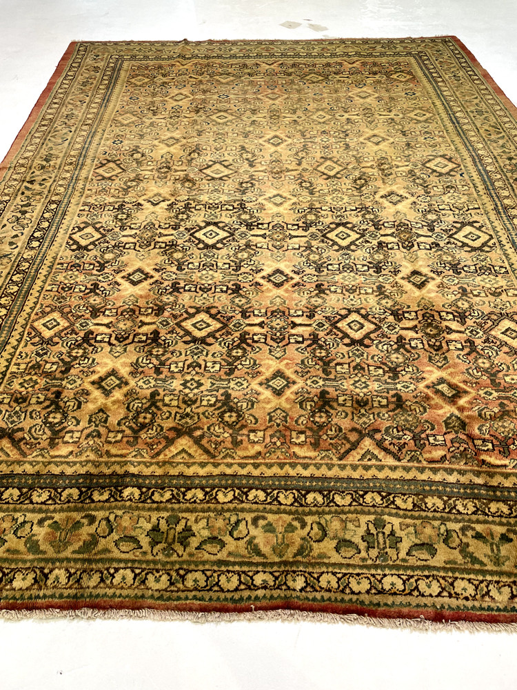 Antique Oriental Hand-Knotted Wool Area Rug Ivory/Rust/Green 8'10" x 12'2"