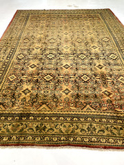 Antique Oriental Hand-Knotted Wool Area Rug Ivory/Rust/Green 8’10” x 12’2″