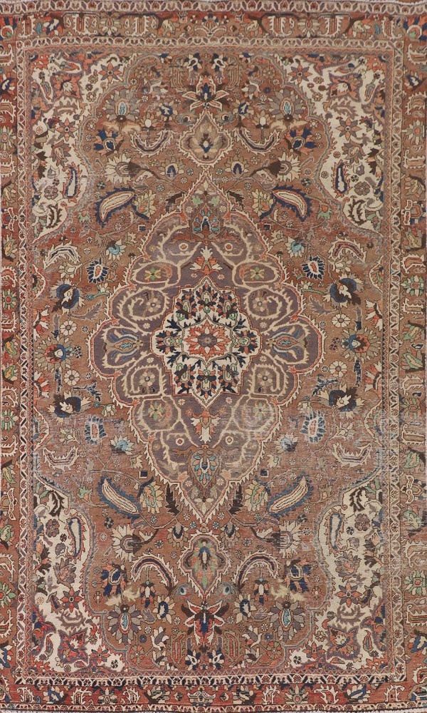 Vintage Floral Area Rug 6x11 Traditional Hand-knotted Wool for Living Room