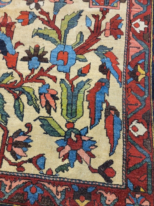 Antique Oriental Hand-Knotted Wool Area Rug Unique Bakhtiari Ivory 11'5" x 16'3" gallery