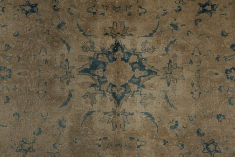Classic Living Room Area Rug 7x11 in Subtle Blues and Warm Earthy Tones Carpet gallery