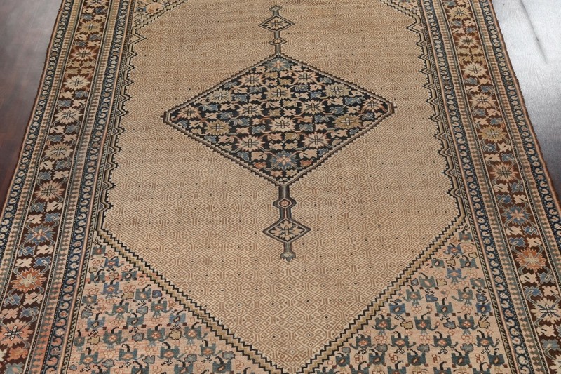 Pre-1900 Antique Vegetable Dye Bibikabad Oriental Area Rug Hand-knotted 10'x16' gallery