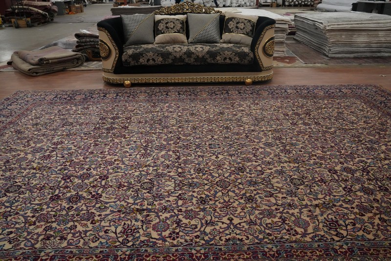 Vegetable Dye Traditional Ivory Wool Palace Size Rug Vintage Handmade Rug 11x17 gallery