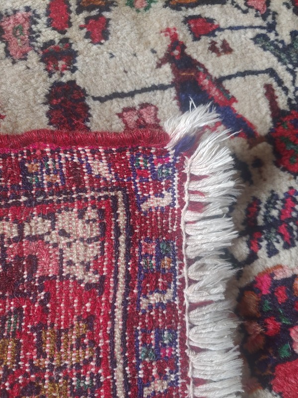 Hand Knotted Vintage Afghanistan Balouch Birds & Floral Wool Area Rug 52"x 49" gallery