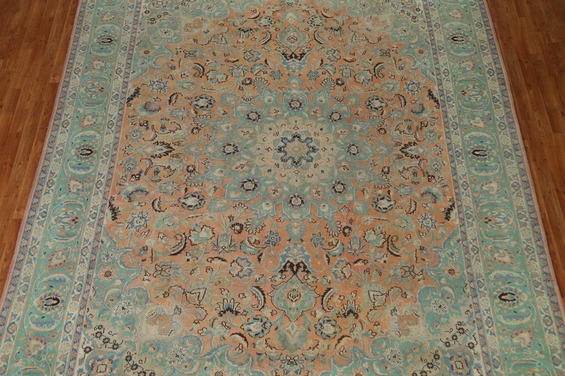 Orange/Turquoise Overdyed Floral Traditional Area Rug 9x12 Wool Handmade gallery