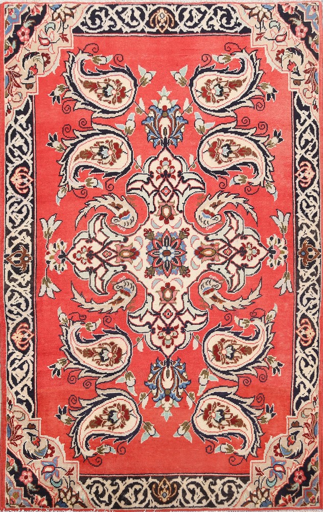 Paisley Pattern Traditional Accent Rug 3x5 ft Hand-knotted Wool Foyer Carpet
