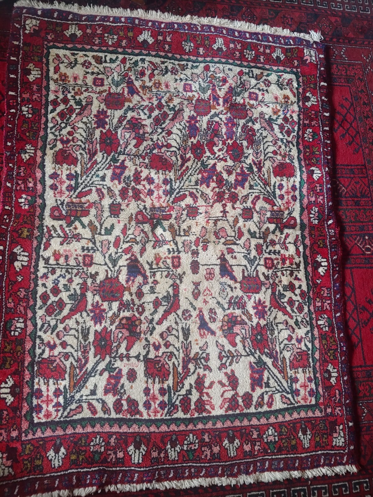 Hand Knotted Vintage Afghanistan Balouch Birds & Floral Wool Area Rug 52"x 49" gallery
