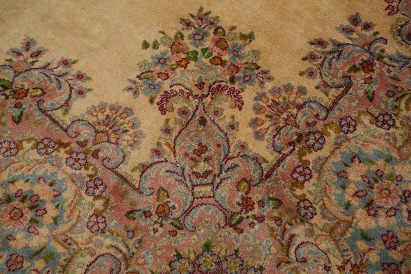 Vegetable Dye Victorian Style Large Rug 10x16 ft Hand-knotted Wool Living Room gallery