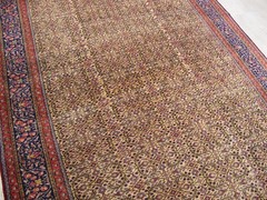 Handmade Muted Floral Rug,6×9 Large Wool Rug Traditional Vintage Carpet 7×10