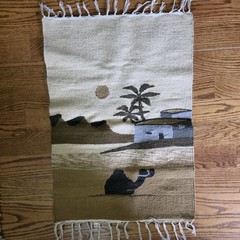 Egyptian Handwoven Camel Wool Kilim Folk Art Tapestry Fringed Rug 31” X 20″