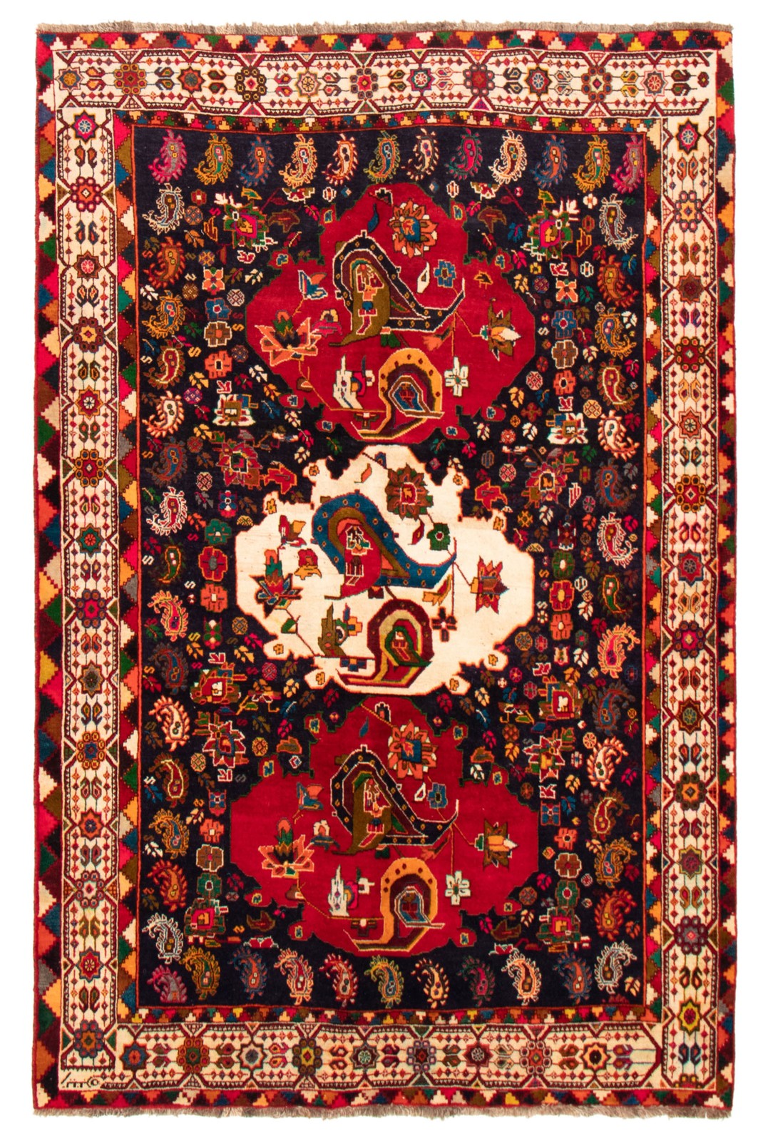 Vintage 6'1" x 9'5" Traditional Hand Knotted Vegetable Dye Wool Area Rug gallery