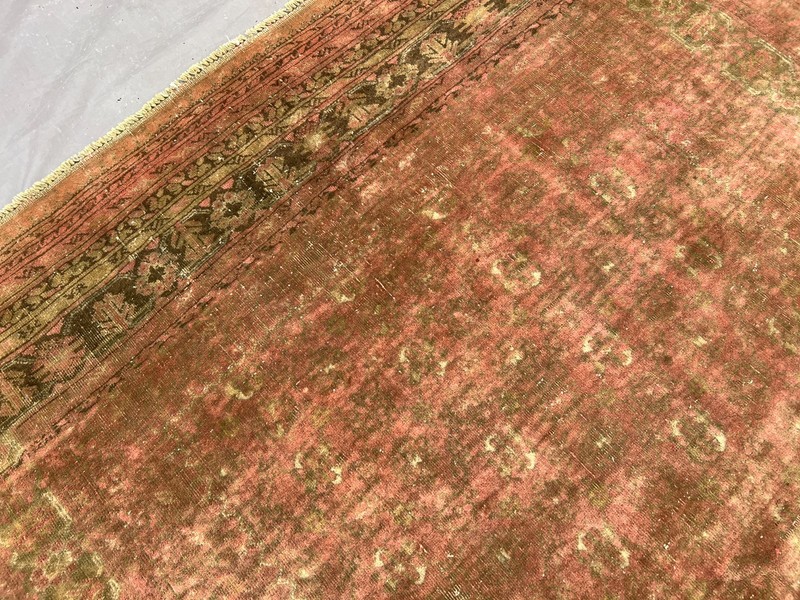Antique Turkmen Bashiri Rug | Hand-Knotted, Rare Terracotta Faded Bedroom Rug gallery