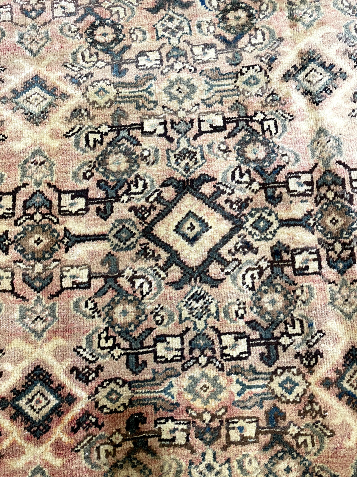 Antique Oriental Hand-Knotted Wool Area Rug Ivory/Rust/Green 8'10" x 12'2" gallery