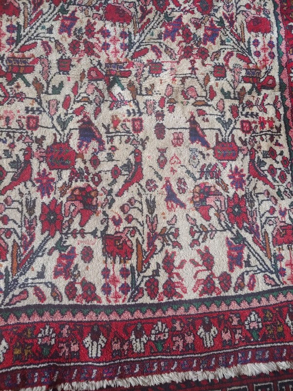 Hand Knotted Vintage Afghanistan Balouch Birds & Floral Wool Area Rug 52"x 49" gallery