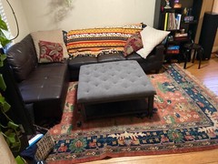 10′ Long x 8’4″ Wide Hand Woven Hamadan Rug UNIQUE