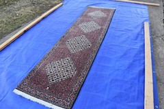 Genuine Bidjar Runner Bijar Runner 2.6×10 Very Nice #2