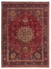 Traditional Vintage Hand-Knotted Area Rug 8’2″ x 10’11” Oriental Wool Carpet