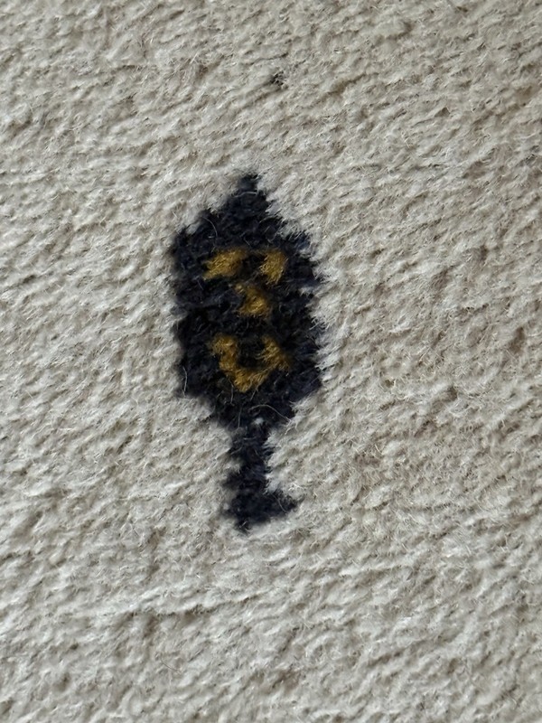 Hand knotted Gabbeh Pictorial Pure New Wool Area Rug 2’X 3’5” W/Fringe Woolmark gallery