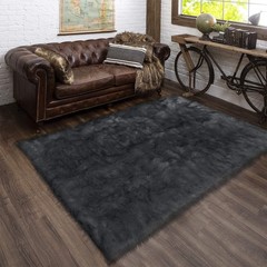 Latepis 5×8 Dark Grey Area Rug for Sofa Floor Bedroom Rugs Living Room Rugs F…