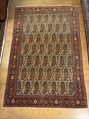 4 X 6 Antique Senneh Rug Circa 1920 Natural Dyed Wool Ivory Scarlet Moss Peach