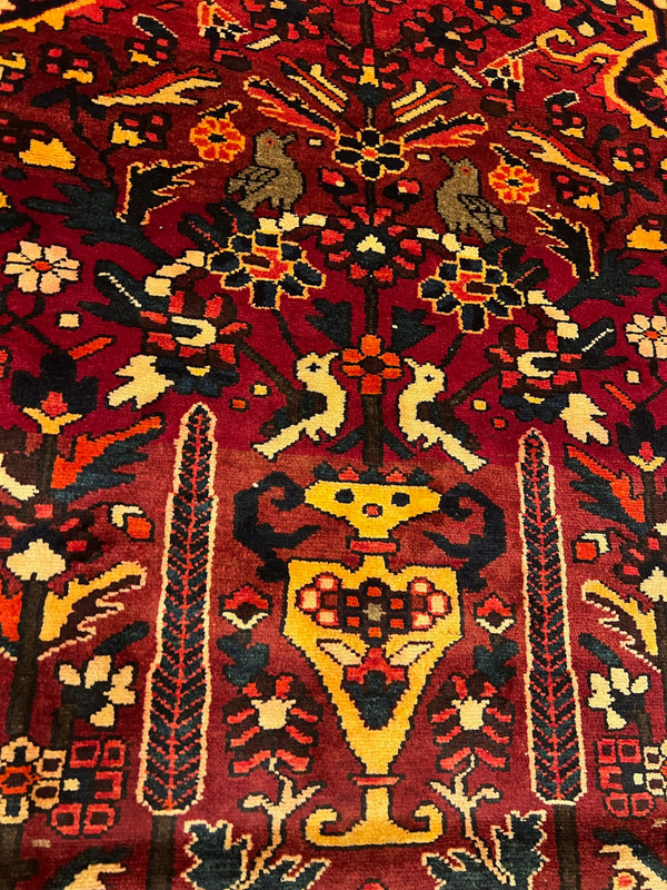 COLLECTORS ITEM Beautiful Antique Kazak Caucasian Natural Dye Caucasus Carpet gallery